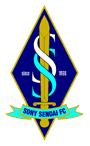 Sony Sendai FC